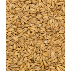 Eko. Avižų kruopos 3kg