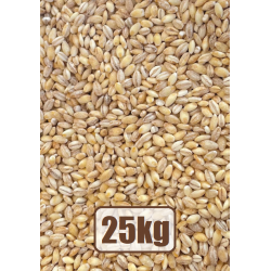 Eko. perlinės kruopos 25 kg